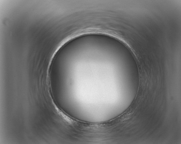 X0000059081527200510070917