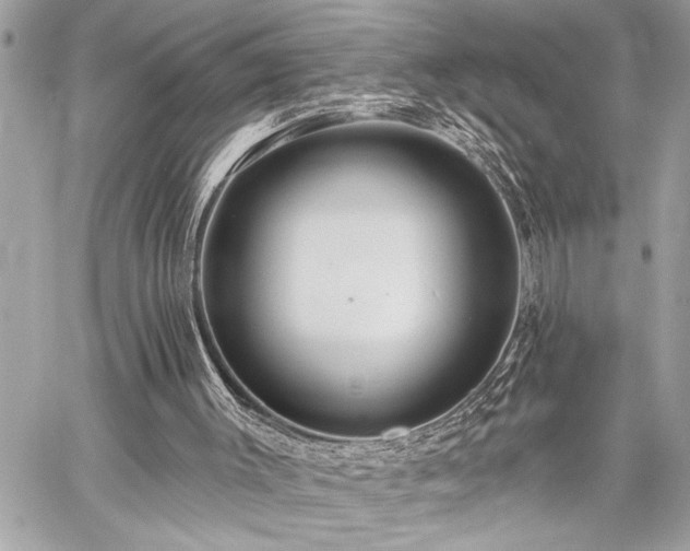 X0000059080003200510071124