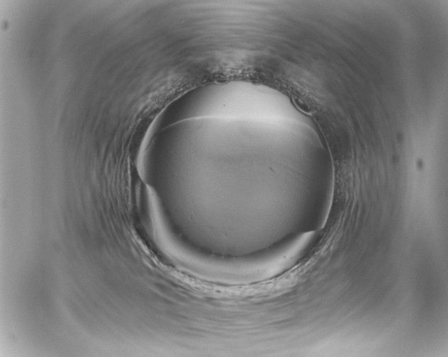 X0000059080039200510071123