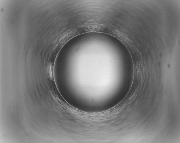 X0000059080042200510071123
