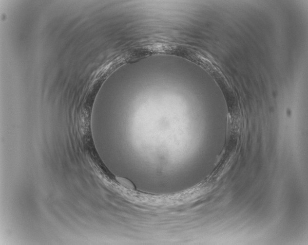 X0000059080043200510071123