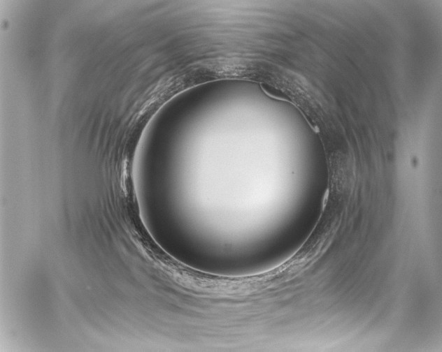 X0000059080044200510071123