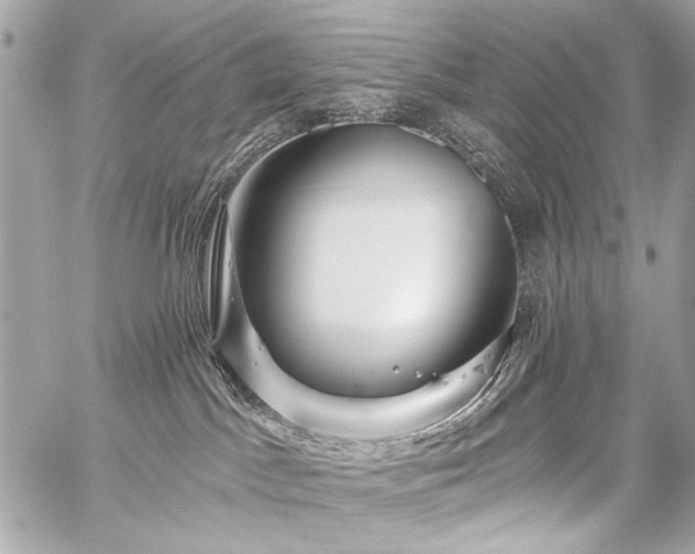 X0000059080045200510071123