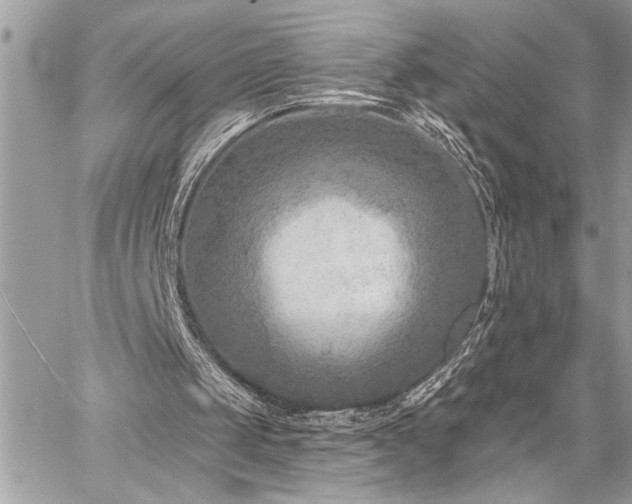 X0000059080049200510071122