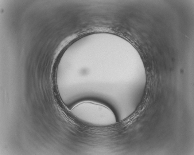 X0000059080104200510071122