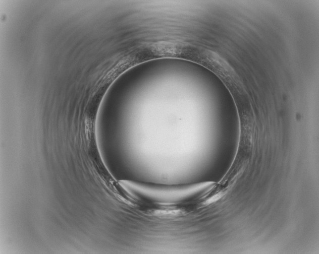 X0000059080125200510071122