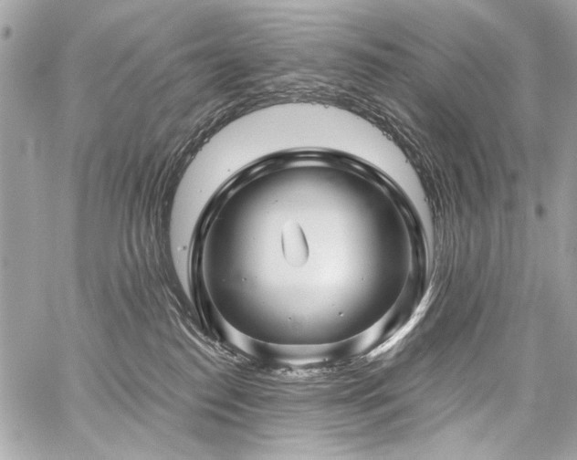 X0000059080186200510071121