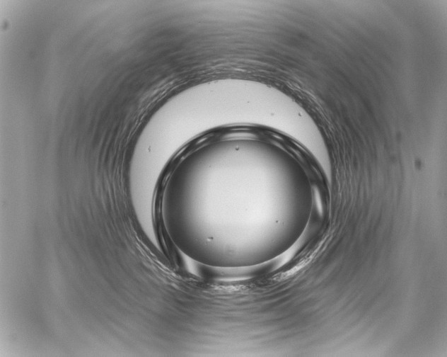 X0000059080189200510071121