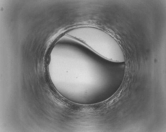 X0000059080248200510071119