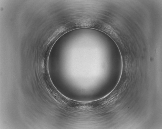 X0000059080251200510071119