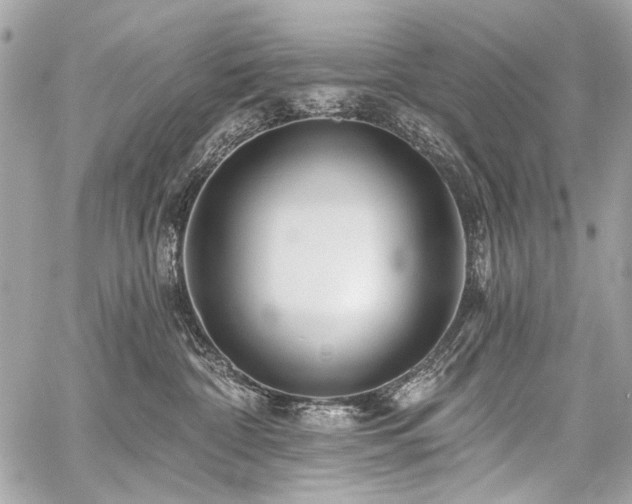 X0000059080332200510071118