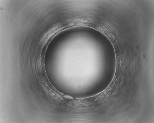 X0000059080338200510071117