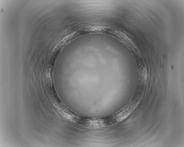 X0000059080415200510071117