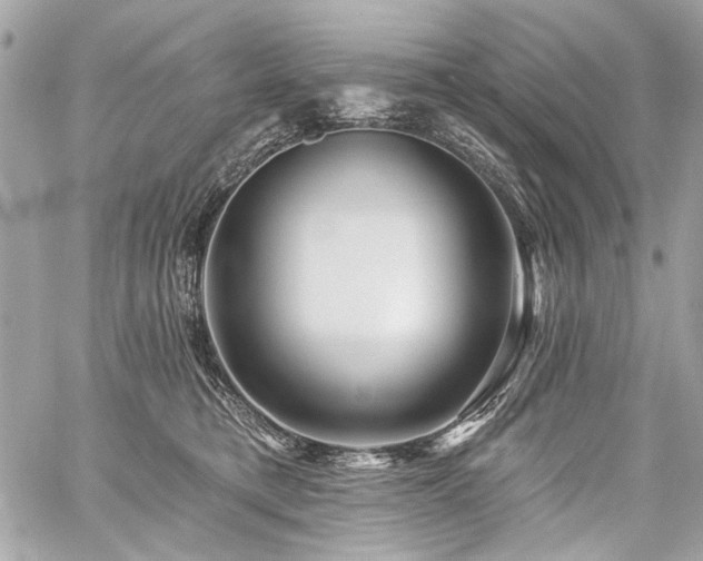 X0000059080421200510071117