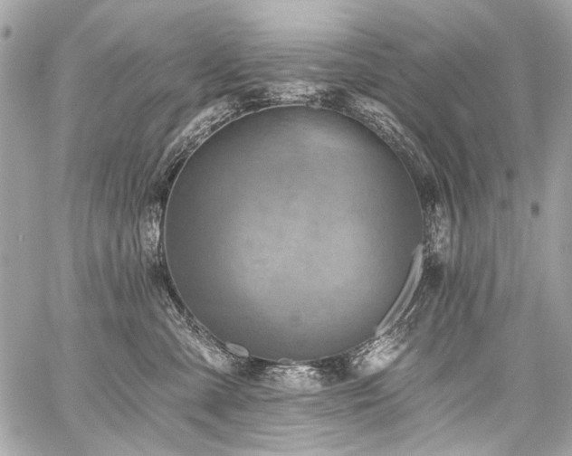 X0000059080427200510071117