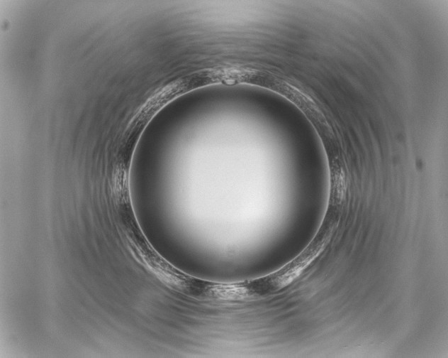 X0000059080429200510071117