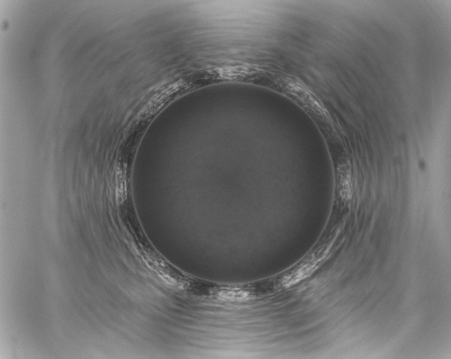 X0000059080471200510071116