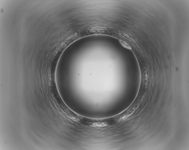 X0000059080508200510071115