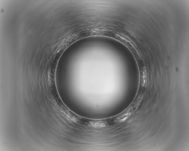 X0000059080520200510071115