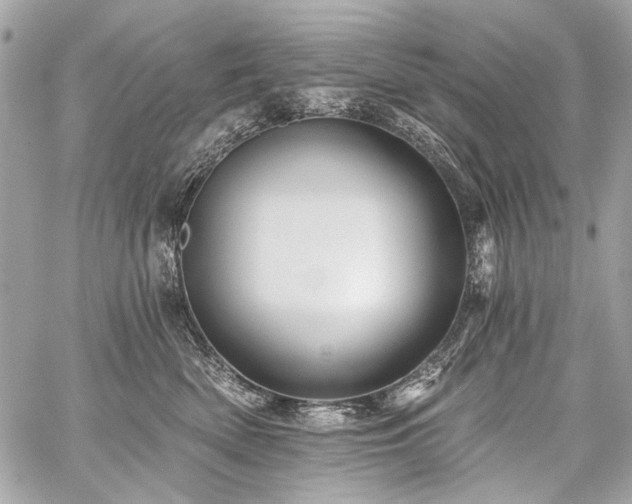 X0000059080522200510071115