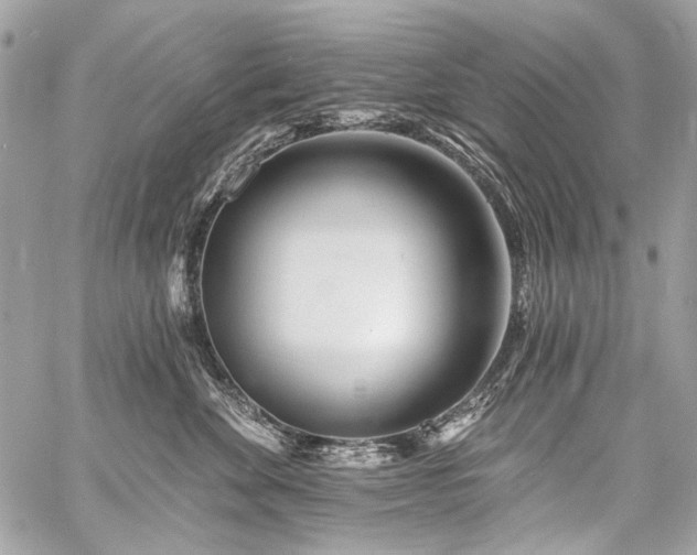 X0000059080524200510071115