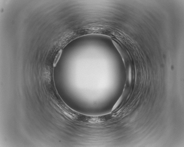 X0000059080562200510071115