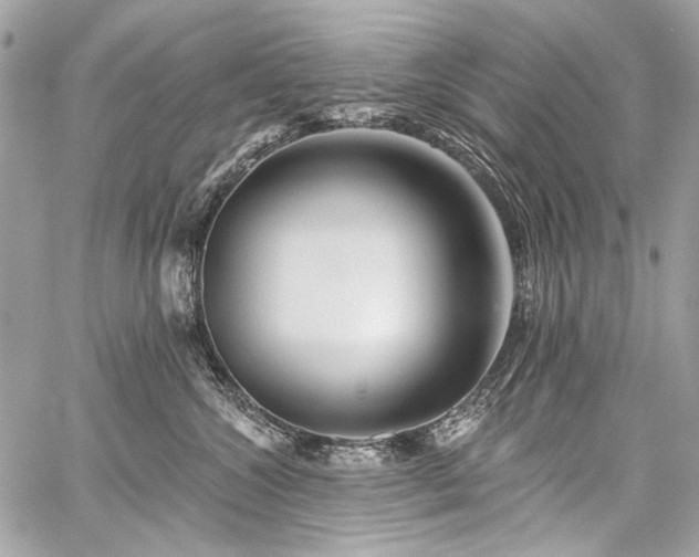 X0000059080572200510071115