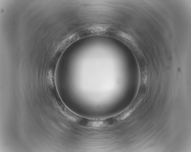 X0000059080575200510071115