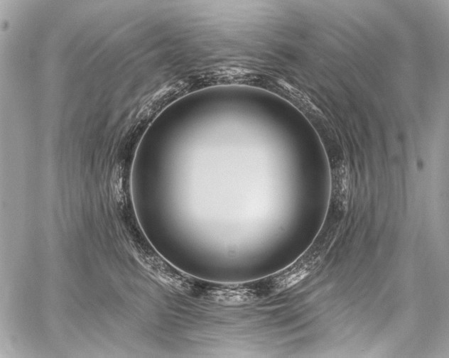 X0000059080615200510071113