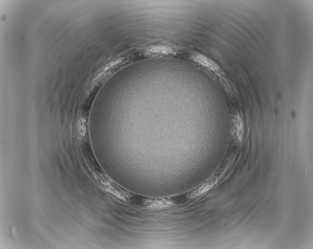 X0000059080621200510071113