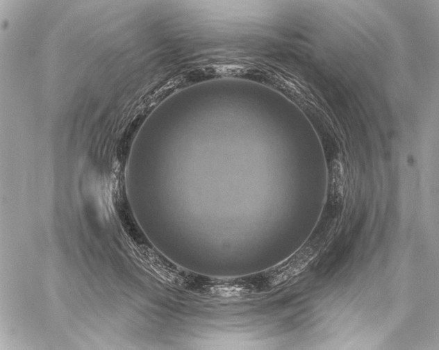 X0000059080650200510071113