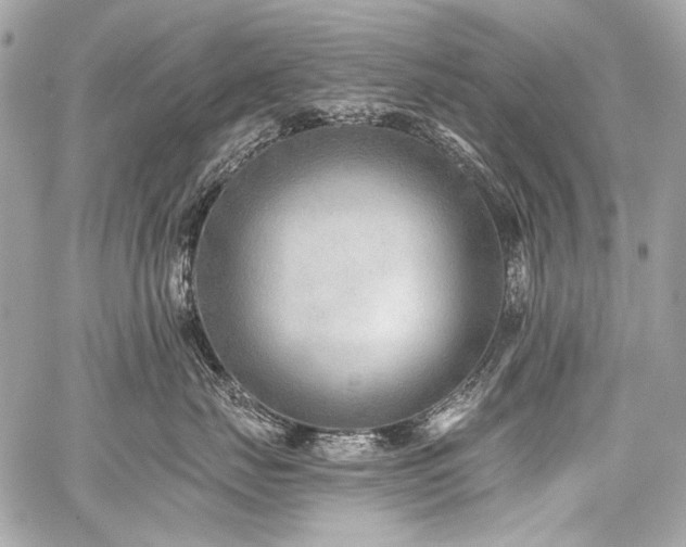 X0000059080671200510071113