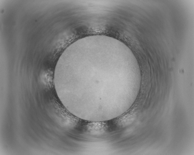 X0000059080672200510071113