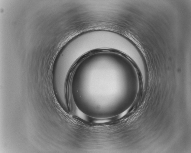 X0000059080673200510071112