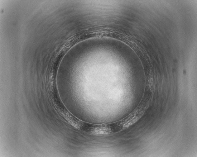 X0000059080708200510071112