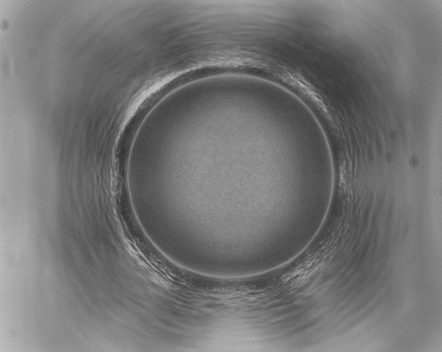 X0000059080724200510071111
