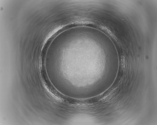 X0000059080726200510071111
