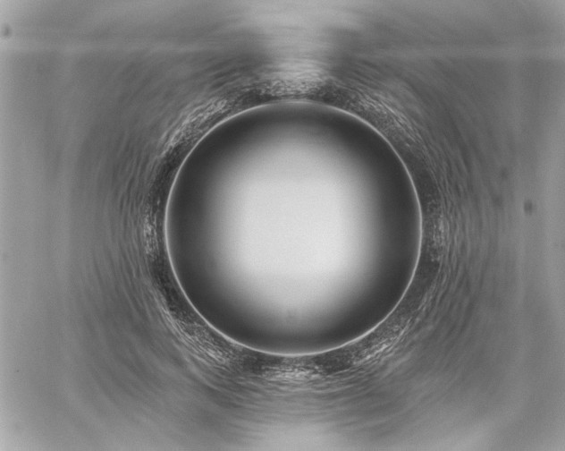 X0000059080743200510071111