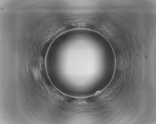 X0000059080747200510071111