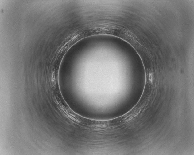 X0000059080771200510071111