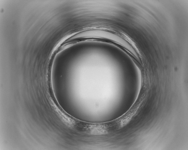 X0000059080803200510071110