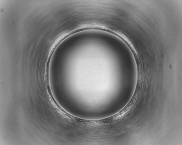 X0000059080815200510071110