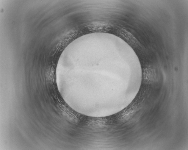 X0000059080820200510071109