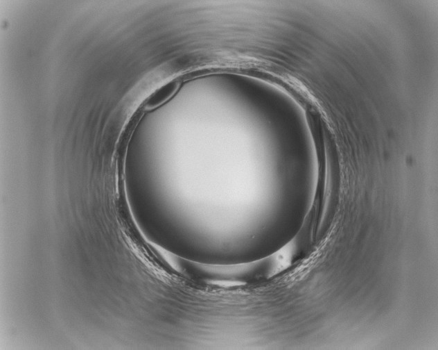 X0000059080838200510071109