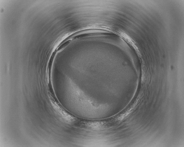 X0000059080892200510071109