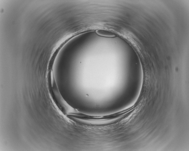 X0000059080902200510071108