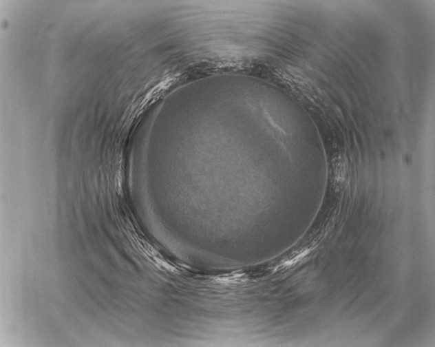 X0000059080916200510071107