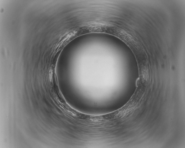 X0000059080964200510071107