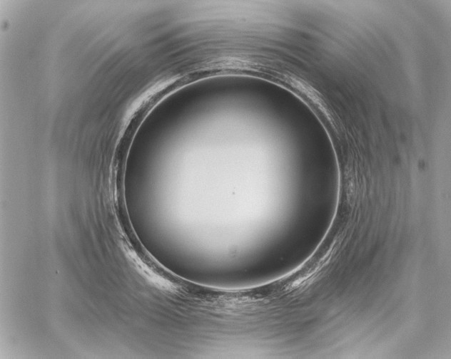 X0000059080987200510071107