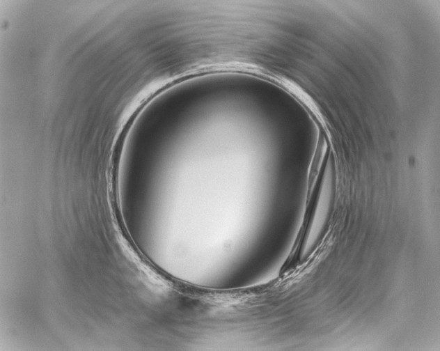 X0000059081005200510071107